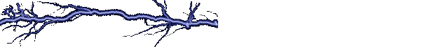 caporegime_bydirenx_strblitz.gif